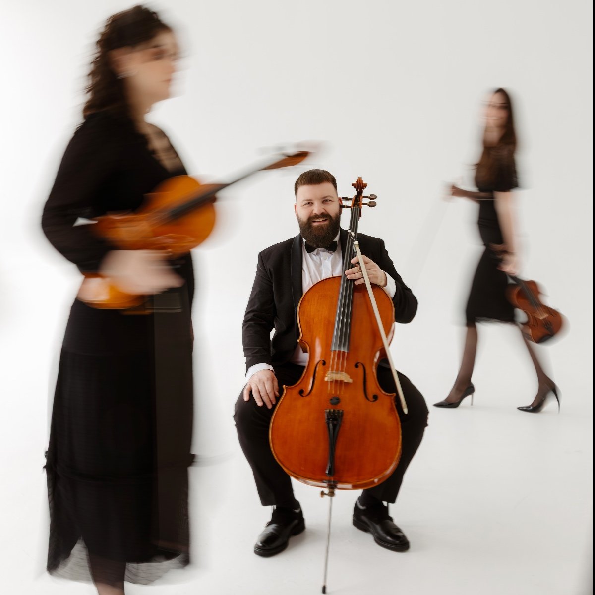 Mladja Krofna Cello